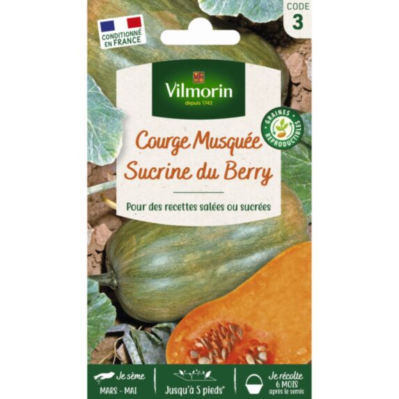 Graines Courge Musquée Sucrine du Berry - VILMORIN