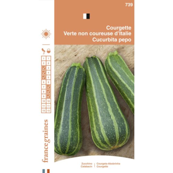 Graines Courgette Verte Non Coureuse d'Italie - FRANCE GRAINES