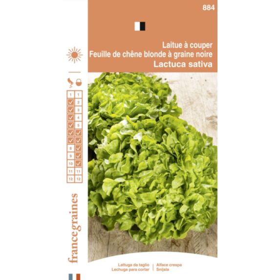 Graines Laitue à Couper Feuille de Chêne Blonde - FRANCE GRAINES