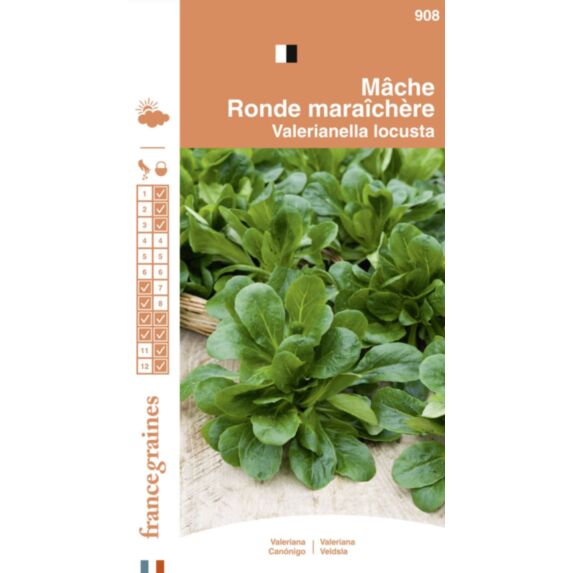 Graines Mâche Ronde Maraîchère - FRANCE GRAINES