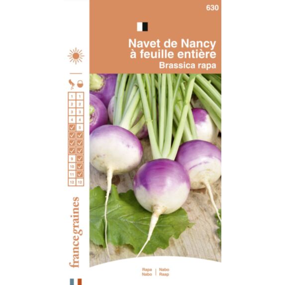 Graines Navet de Nancy à Feuille Entière - FRANCE GRAINES