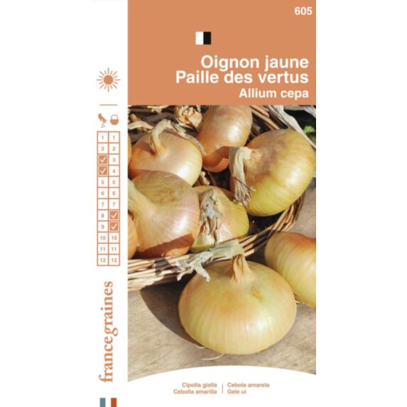 Graines Oignon Jaune Paille des Vertus - FRANCE GRAINES