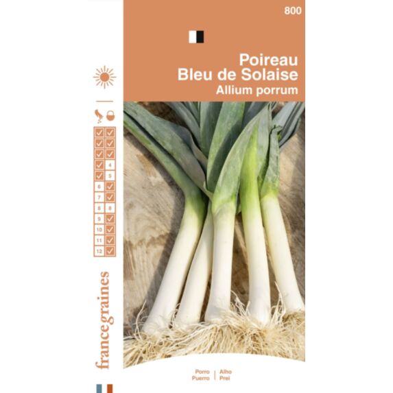 Graines Poireau Bleu de Solaise - FRANCE GRAINES