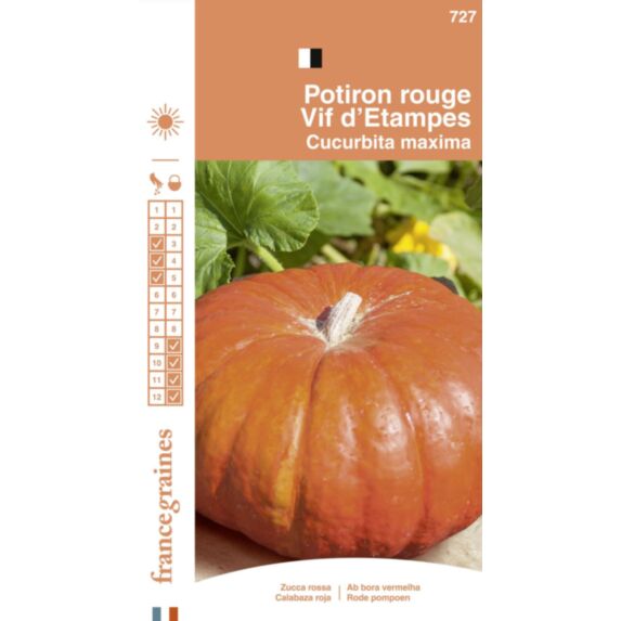 Graines Potiron Rouge Vif d'Etampes - FRANCE GRAINES