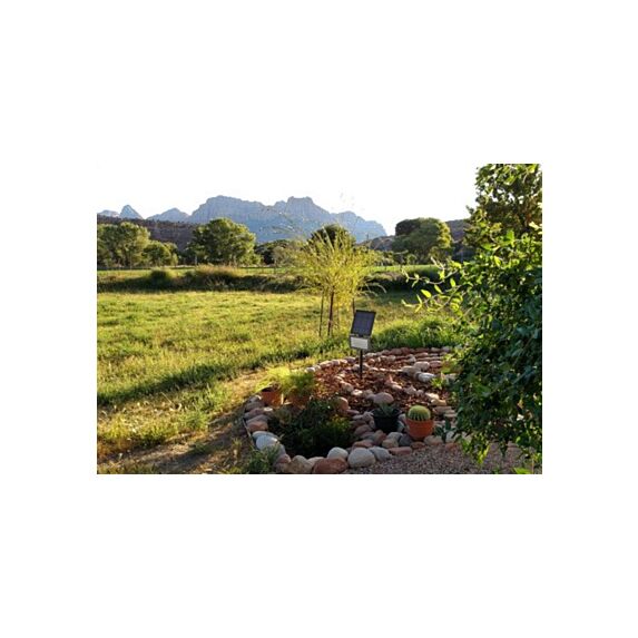 Projecteur noir mat little garden solar