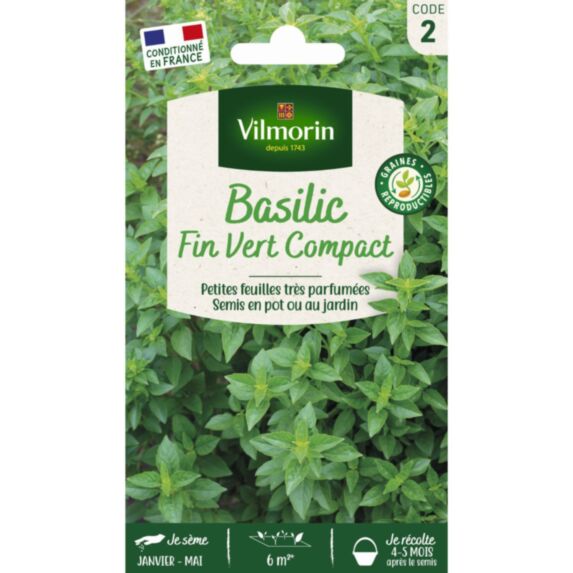 Graines Basilic Fin Vert Compact - VILMORIN