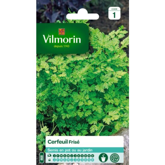 Graines Cerfeuil Frisé - VILMORIN