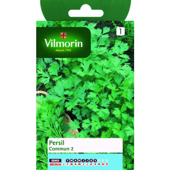 Graines Persil Commun 2 - VILMORIN