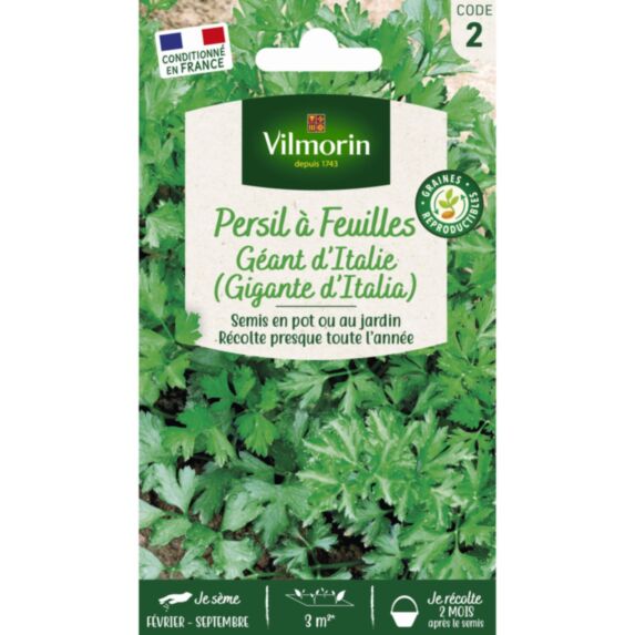 Graines Persil Gigante d'Italia - VILMORIN