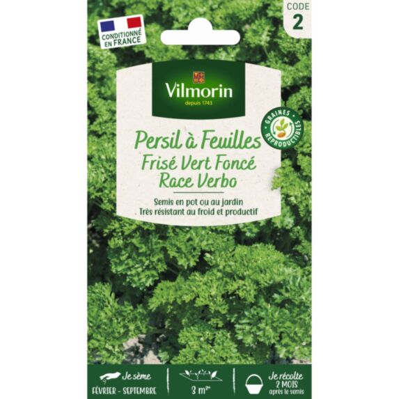 Graines Persil Frisé Vert Foncé Race Verbo - VILMORIN
