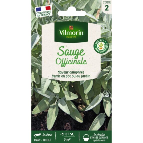 Graines Sauge Officinale - VILMORIN