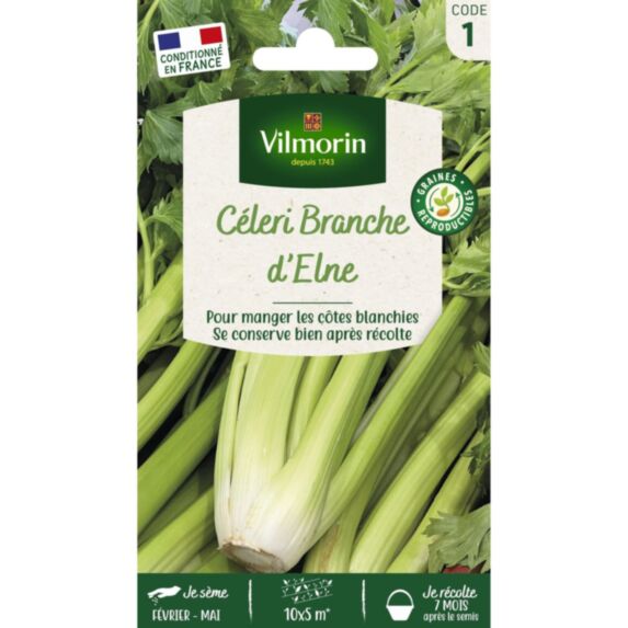 Graines Céleri Branche d'Elne - VILMORIN