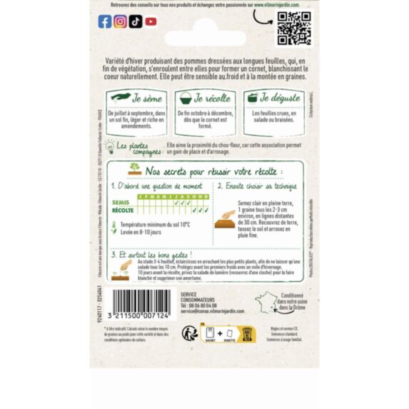 Graines Chicorée Scarole Cornet d'Anjou - VILMORIN