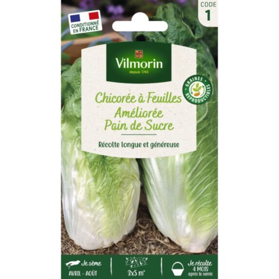 Graines Chicorée à Feuilles Améliorée Pain de Sucre - VILMORIN
