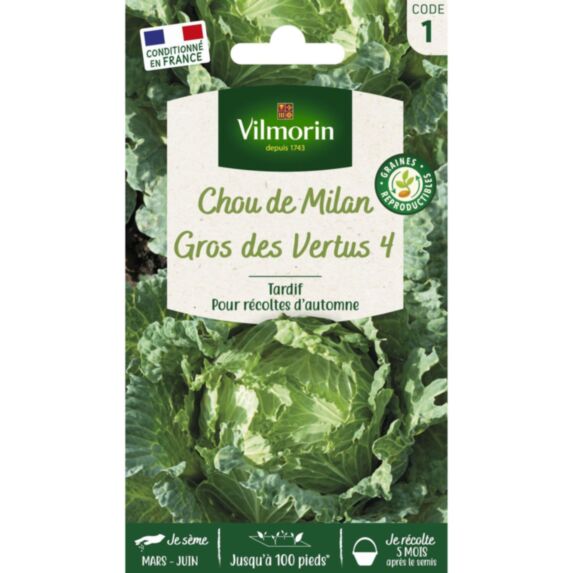 Graines Chou de Milan Gros des Vertus - VILMORIN