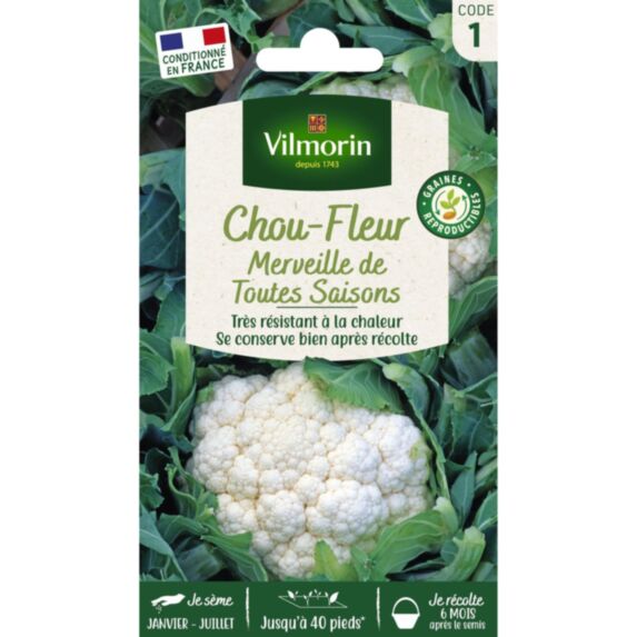 Graines Chou Fleur Merveille des 4 Saisons - VILMORIN