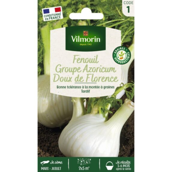 Graines Fenouil Doux de Florence - VILMORIN