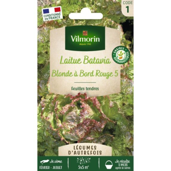 Graines Laitue Batavia Blonde à Bord Rouge 5 - VILMORIN