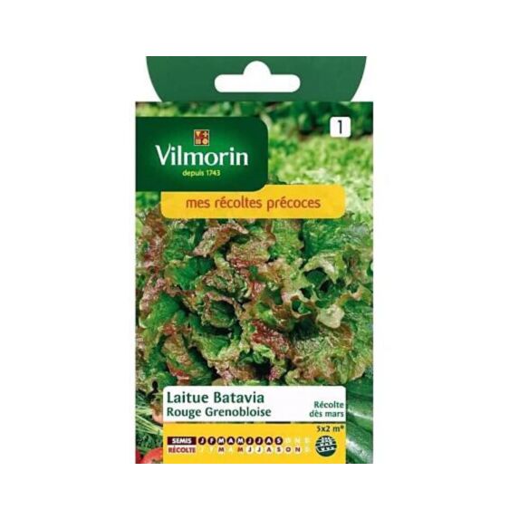 Graines Laitue Batavia Rouge Grenobloise - VILMORIN