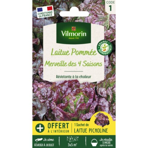 Graines Laitue Merveille des 4 Saisons - VILMORIN