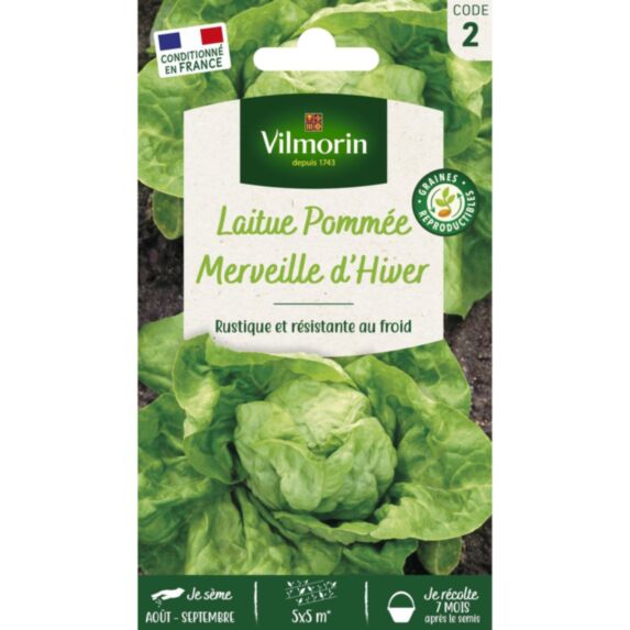 Graines Laitue d'Hiver Merveille d'Hiver Eilmorin - VILMORIN