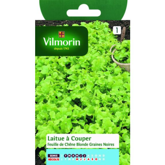 Graines Laitue à Couper Feuille de Chêne Blonde - VILMORIN