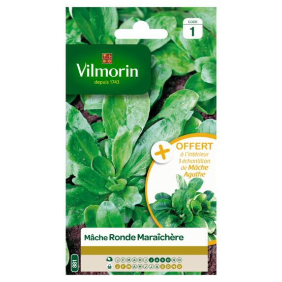 Graines Mâche Ronde Maraîchère - VILMORIN
