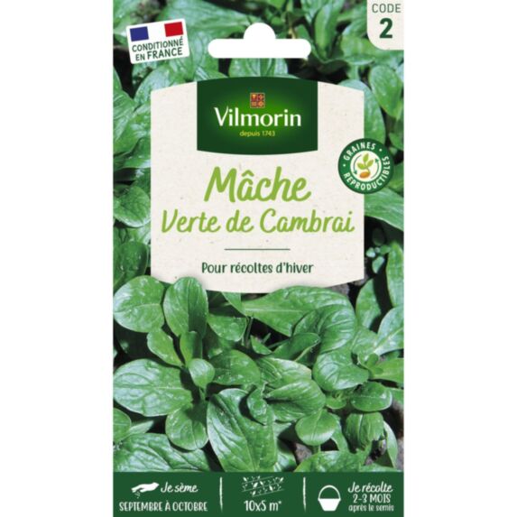 Graines Mâche Verte de Cambrai - VILMORIN