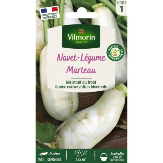 Graines Navet Légume des Vertus Marteau - VILMORIN