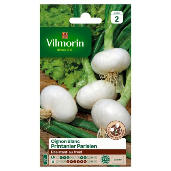 Graines Oignon Blanc Printanier Parisien - VILMORIN