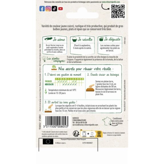 Graines Oignon Jaune Paille des Vertus - VILMORIN