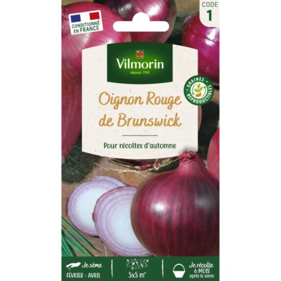 Graines Oignon Rouge de Brunswick - VILMORIN