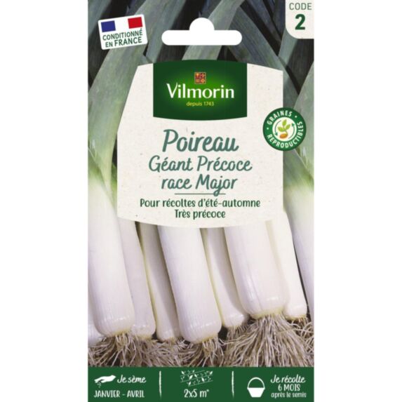 Graines Poireau Géant Précoce Race Major - VILMORIN