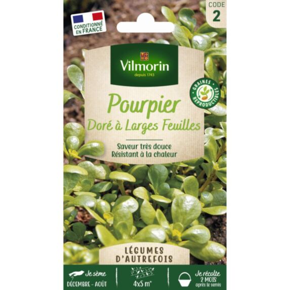 Graines Pourpier Doré à Large Feuille - VILMORIN