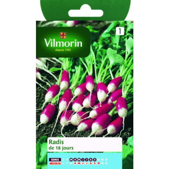 Graines Radis de 18 Jours - VILMORIN
