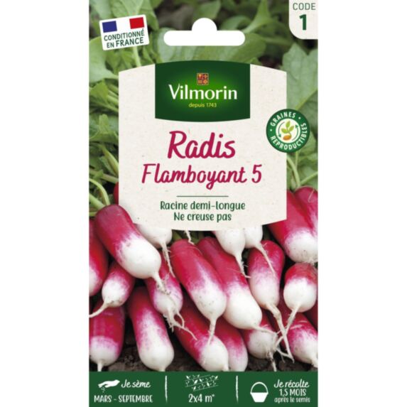Graines Radis Flamboyant 5 - VILMORIN
