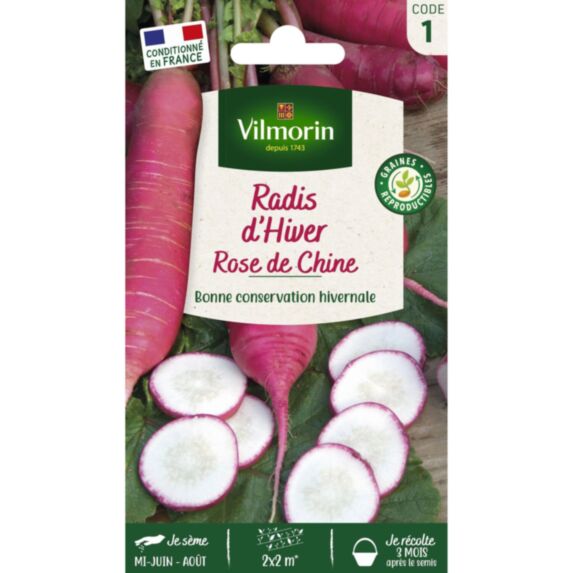 Graines Radis Rose d'Hiver de Chine - VILMORIN