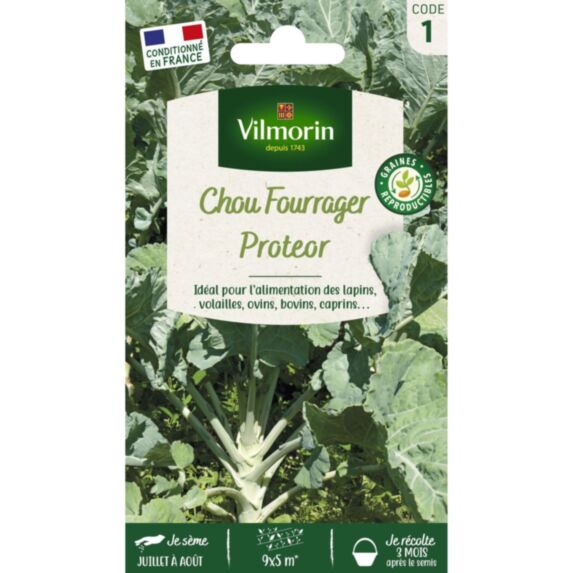 Graines Chou Fourrager Protéor - VILMORIN