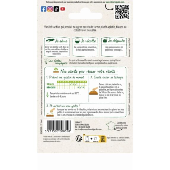 Graines Navet Légume Rave d'Auvergne Tardive - VILMORIN