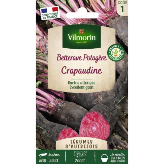 Graines Betterave Potagère Crapaudine Vimorin - VILMORIN