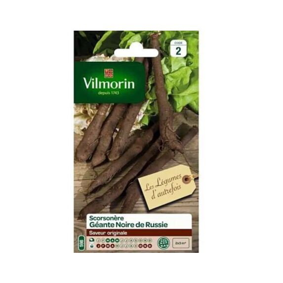 Graines Scorsonère Géante Noire de Russie - VILMORIN