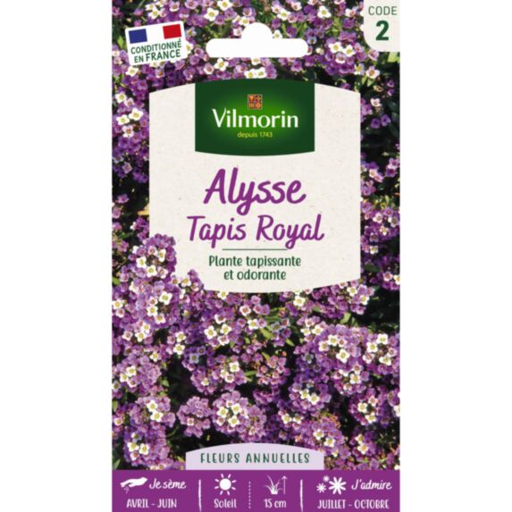Graines Alysse Tapis Royal - VILMORIN