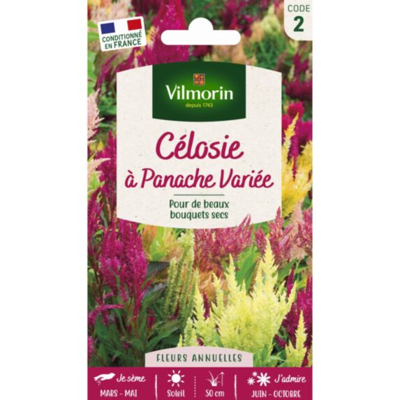 Graines Célosie à Panache Variée - VILMORIN