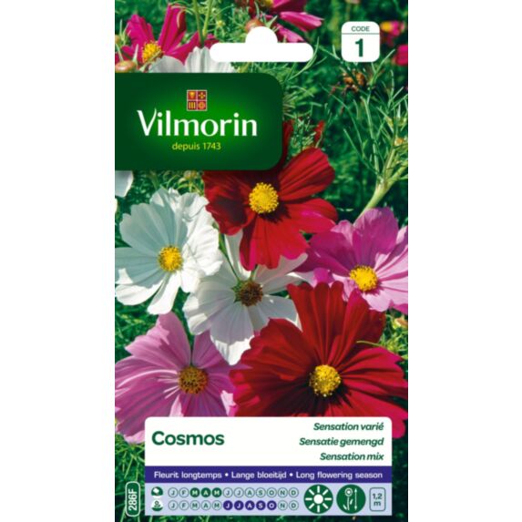 Graines Cosmos Sensation Varié - VILMORIN