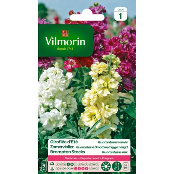 Graines Giroflée d'Eté Quarantaine Variée - VILMORIN