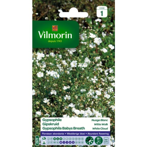 Graines Gypsophile Nuage Blanc - VILMORIN