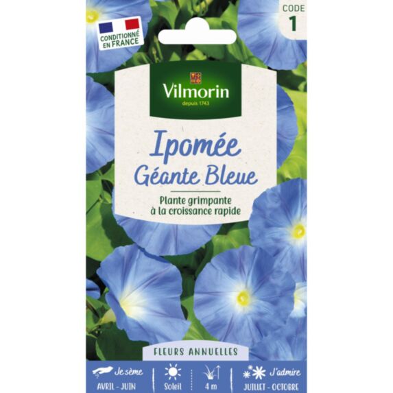 Graines Ipomée Volubilis Géante Bleue - VILMORIN