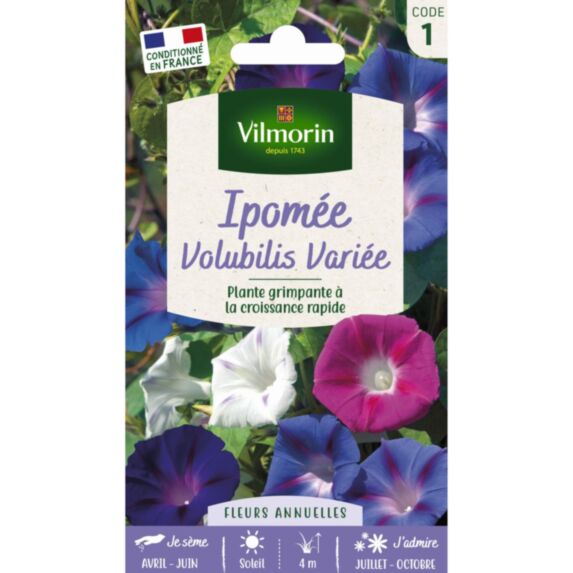 Graines Ipomée Volubilis Variée - VILMORIN