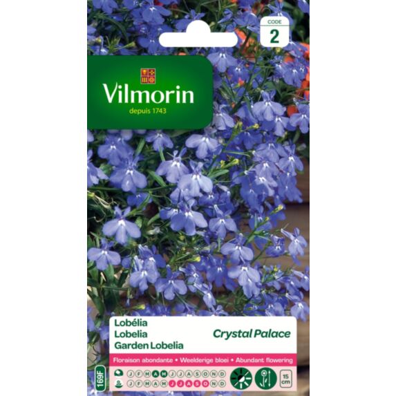 Graines Lobélia Crystal Palace - VILMORIN