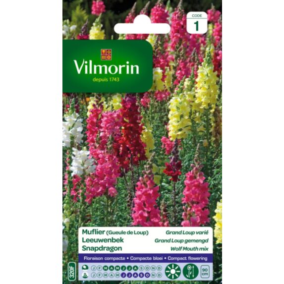 Graines Muflier Grand Loup Varié - VILMORIN